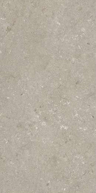 Керамогранит Shellstone Taupe 60x120 Dado Ceramica матовый универсальный 005468