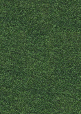 Пробковая панель Murano Green фото Пробковая панель Murano Green