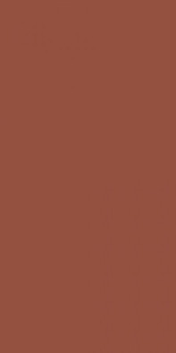 Керамогранит Croma Terracotta 49,1x98,2 Ceracasa Ceramica матовый универсальный
