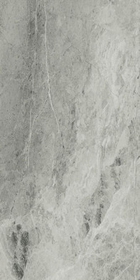 Керамогранит Charme Extra Silver 30x60 Cer фото Керамогранит Charme Extra Silver 30x60 Cer