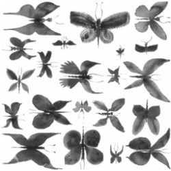 Декор Papillon BE 20 керамический