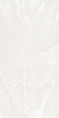 Керамогранит Onyx Ultra Lush Plus 60x120 Colortile матовый универсальный