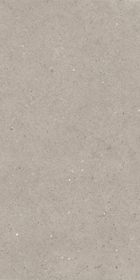 Керамогранит Argent6 12 60x120 La Faenza Monoceram Suite Stone матовый универсальная плитка 200298