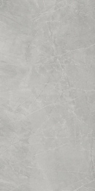 Керамогранит Bayona Silver Natural B-Thin Baldocer 59x120 матовый универсальный