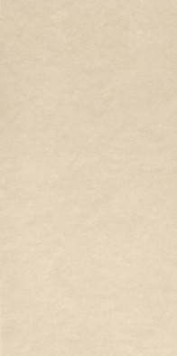 Настенная плитка Sheer Beige 80x160 матовая керамическая