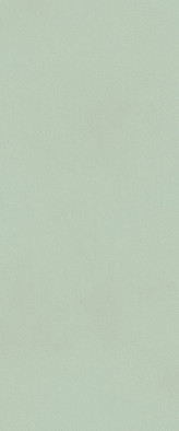 Настенная плитка True Color Matcha Matt 50x120 Fap Ceramiche матовая керамическая fTDV