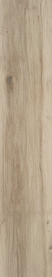 Керамогранит Blaze Natural Matt Rect 22.7x119.5 STN Ceramica Stylnul матовый напольный N30033