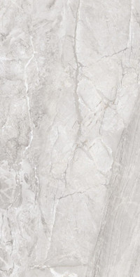 Керамогранит Doxa Silver Grey 60х120 CR  Arcadia Ceramica carving, матовый универсальная плитка CR9021-A
