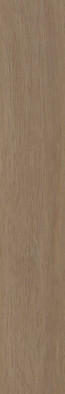 Керамогранит SG351400R Тьеполо коричневый светлый матовый обрезной 9.6x60 Kerama Marazzi универсальная плитка фото Керамогранит SG351400R Тьеполо коричневый светлый матовый обрезной 9.6x60 Kerama Marazzi универсальная плитка