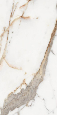 Керамогранит Origines De Rex Or Matte 30x60 Rett (769846) REX Ceramiche матовый универсальный фото Керамогранит Origines De Rex Or Matte 30x60 Rett (769846) REX Ceramiche матовый универсальный