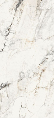 Керамогранит AePao6278Lp 120х278 La Faenza Monoceram Aesthetica лаппатированный (полуполированный) универсальный