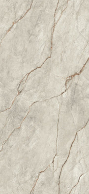 Керамогранит SIM.TR.GR.LC 2600х1200х6,0 Arch Skin Stone Marble Grey полированный универсальный фото Керамогранит SIM.TR.GR.LC 2600х1200х6,0 Arch Skin Stone Marble Grey полированный универсальный