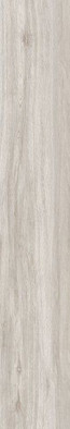 Керамогранит Aspen Ash 19.5x121.5 Ret