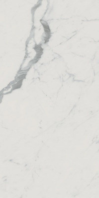 Керамогранит Roma Gold 60x120 Carrara Superiore Brill Fap Ceramiche полированный универсальный 36936