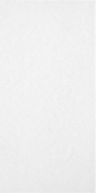 Настенная плитка TWU09MNR020 Monocolor 249х500х7 Almaceramica глянцевая керамическая