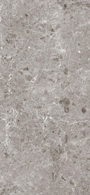 Керамогранит Artic Gris Pul.120x260 5,6 Grespania Ceramica S.A. полированный, универсальный 36471
