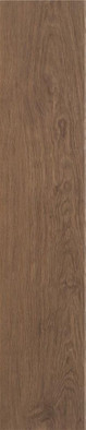 Керамогранит P.E. Tiare Nogal MT 23x120 STN Ceramica Stylnul матовый напольная плитка