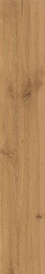Керамогранит Log Amber Oak 20x120 Atlas Concorde Italy матовый универсальная плитка AX3E фото Керамогранит Log Amber Oak 20x120 Atlas Concorde Italy матовый универсальная плитка AX3E