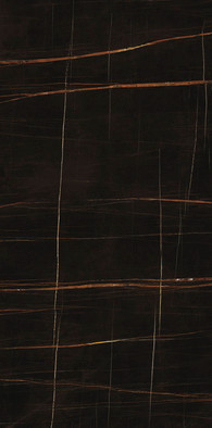 Керамогранит Ultra Marmi Sahara Noir Lev Silk 120x120 Ariostea полированный универсальный UM6SK120585 фото Керамогранит Ultra Marmi Sahara Noir Lev Silk 120x120 Ariostea полированный универсальный UM6SK120585