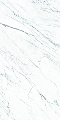 Керамогранит Lm Statuario St 100x200 Roca Ceramica глазурованный, матовый универсальная плитка FPK01MQ011