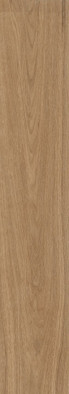Керамогранит Forest Palm 20x120 Matt Staro матовый напольная плитка УТ-00000458 фото Керамогранит Forest Palm 20x120 Matt Staro матовый напольная плитка УТ-00000458