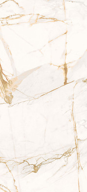 Керамогранит 0500872 The Wild Spirit Cal. Oro Lux Rt 59.6x119.2 Roberto Cavalli полированный универсальная плитка