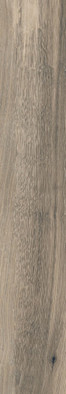 Керамогранит Timeless Greige Ret 20x120 RHS матовый напольная плитка J89648