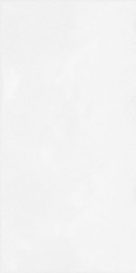 Настенная плитка TWU09MNR020 Monocolor 24.9х50х7,5 Almaceramica глянцевая керамическая