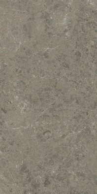 Керамогранит Marvel Meraviglia Grigio Elegante 60x120 Lapp. 6 mm Atlas Concorde Italy полированный универсальная плитка AKHO