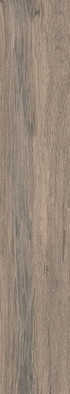Керамогранит Base Forest Argent 20x120 Matt Exagres матовый напольная плитка УТ-00001142