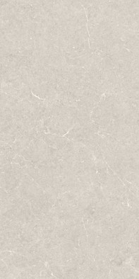Керамогранит Bergstein Ivory Matt 60x120 Artech Argenta матовый универсальная плитка 8435592066905