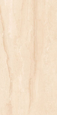 Керамогранит Dyna Silver Absolut Gres 60х120 полированный универсальный