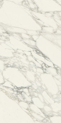 Керамогранит Шарм Делюкс Арабескато Уайт 60x120 Cer Charme Deluxe Arabescato White 60x120 Cer напольный патинированный фото Керамогранит Шарм Делюкс Арабескато Уайт 60x120 Cer Charme Deluxe Arabescato White 60x120 Cer напольный патинированный