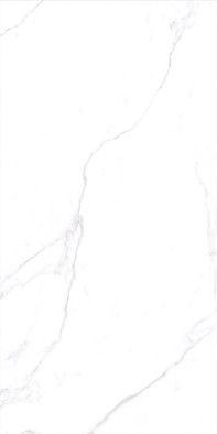 Керамогранит Panteon Blanco Rectificado 60х120 Novacera полированный напольная плитка TY12033