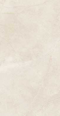 Керамогранит MA02 60x120x10 Полированный фото Керамогранит MA02 60x120x10 Полированный