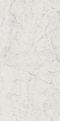Керамогранит Charme Extra Carrara Ret 60x120 фото Керамогранит Charme Extra Carrara Ret 60x120