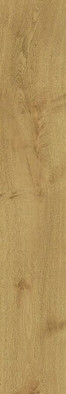 Керамогранит Heartwood Malt 20x120