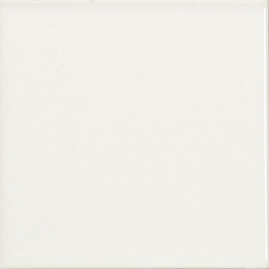 Настенная плитка СП1189 Lliso Mate Blanco 10x10 Vilar Albaro Monocolor матовая керамическая CVA0121