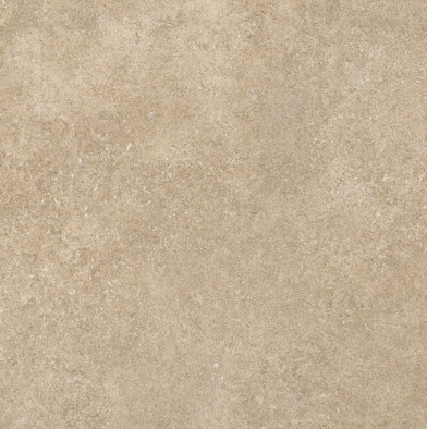 Керамогранит Taupe 60x60 универсальный матовый фото Керамогранит Taupe 60x60 универсальный матовый