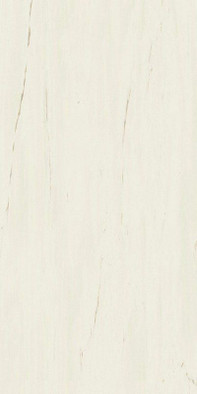 Керамогранит Marvel Bianco Dolomite 60x120 (A21C) матовый