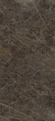 Керамогранит AeGol6278Lp 120х278 La Faenza Monoceram Aesthetica лаппатированный (полуполированный) универсальный фото Керамогранит AeGol6278Lp 120х278 La Faenza Monoceram Aesthetica лаппатированный (полуполированный) универсальный