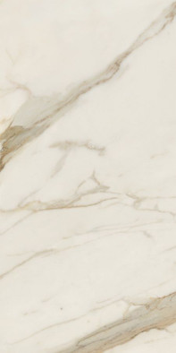 Керамогранит Golden White 60x120 Caesar матовый универсальный AGB0 фото Керамогранит Golden White 60x120 Caesar матовый универсальный AGB0