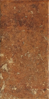 Керамогранит Cotto Dorato 20x40 Serenissima and Cir матовый напольная плитка 1080484