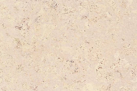 Пробковая панель Corkstyle EcoCork Madeira White 10.5 мм 915x305 33 класс фото Пробковая панель Corkstyle EcoCork Madeira White 10.5 мм 915x305 33 класс