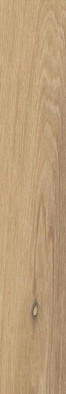 Керамогранит Rovere Dorato 20х120 Ergon I-Wood матовый универсальная плитка EMP1 фото Керамогранит Rovere Dorato 20х120 Ergon I-Wood матовый универсальная плитка EMP1