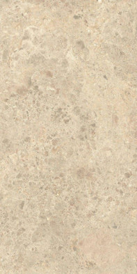 Керамогранит Nyra Ambrosia 60х120 Atlas Concorde Italy матовый универсальная плитка HCRA