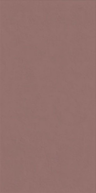 Настенная плитка Wide and Style Mini Paprika Ret 60x120 матовая керамическая