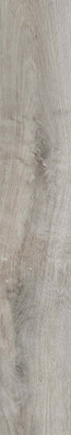 Керамогранит Harmony Grey 20x120 Rect. Belleza матовый напольный WAQ19F31910A