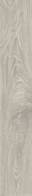 Керамогранит Triana Rect Perla 20x120 APE Ceramica матовый напольный