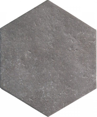 Керамогранит СП251 Monopole Dakota Grafito 20x24 матовый
